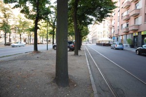 torino-controviale