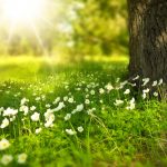 Prendere il sole