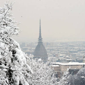 mole-neve