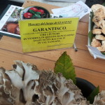 Mercato del Fungo