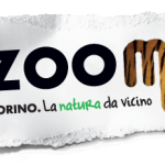 Zoom Torino